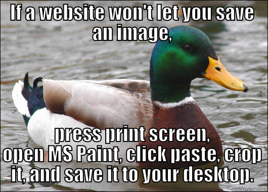 IF A WEBSITE WON'T LET YOU SAVE AN IMAGE, PRESS PRINT SCREEN, OPEN MS PAINT, CLICK PASTE, CROP IT, AND SAVE IT TO YOUR DESKTOP. Actual Advice Mallard