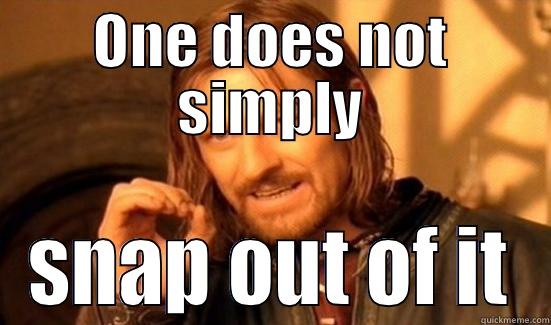 Mental Illness - ONE DOES NOT SIMPLY SNAP OUT OF IT Boromir