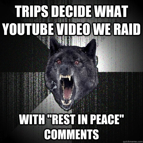 Trips decide what YouTube video we raid with 