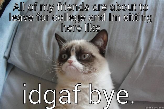 college goodbyes :) - ALL OF MY FRIENDS ARE ABOUT TO LEAVE FOR COLLEGE AND IM SITTING HERE LIKE IDGAF BYE. Grumpy Cat