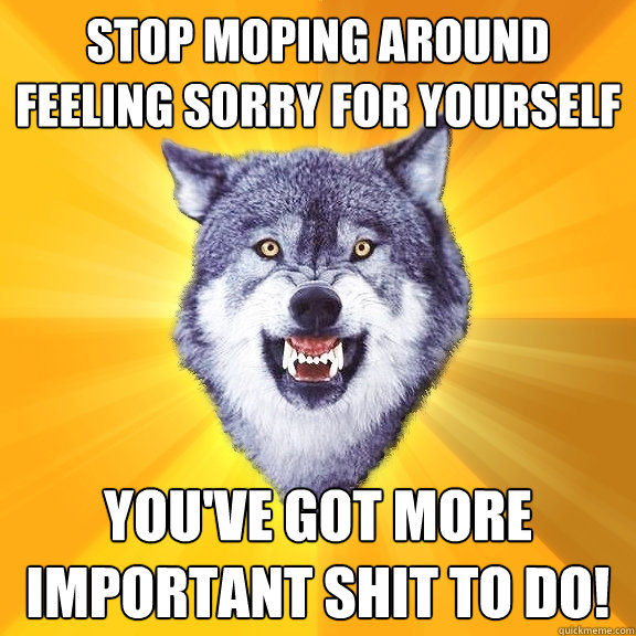 Stop moping around feeling sorry for yourself you've got more important shit to do!  Courage Wolf