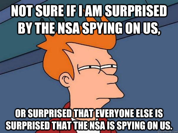 Not sure if I am surprised by the NSA spying on us, Or surprised that everyone else is surprised that the NSA is spying on us.  Futurama Fry