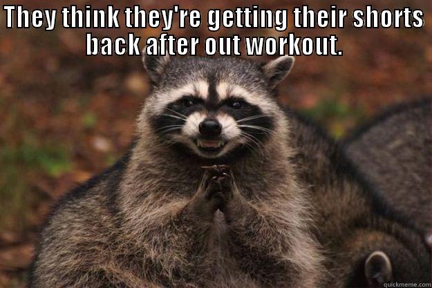 This guy right here - THEY THINK THEY'RE GETTING THEIR SHORTS BACK AFTER OUT WORKOUT.  Evil Plotting Raccoon
