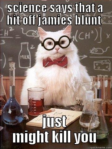 SCIENCE SAYS THAT A HIT OFF JAMIES BLUNT  JUST MIGHT KILL YOU Chemistry Cat