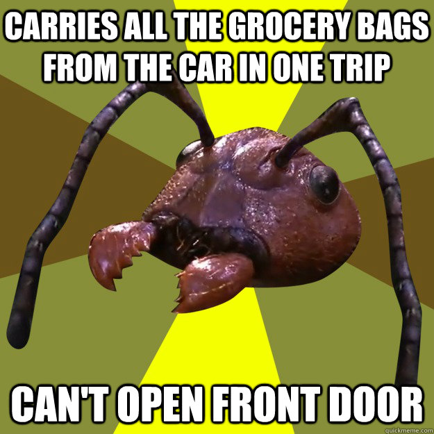 Carries all the grocery bags from the car in one trip Can't open front door  over-efficient ant