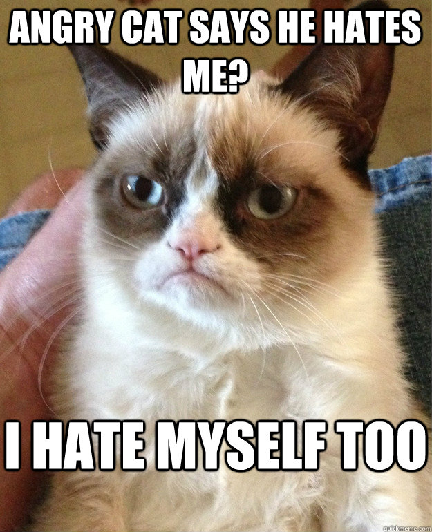 angry cat says he hates me? I hate myself too  Grumpy Cat