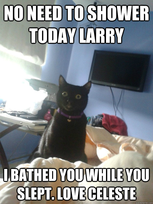 no need to shower today Larry i bathed you while you slept. Love Celeste  overly attached cat