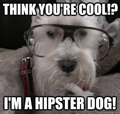 think you're cool!? I'm a hipster dog! - think you're cool!? I'm a hipster dog!  Misc