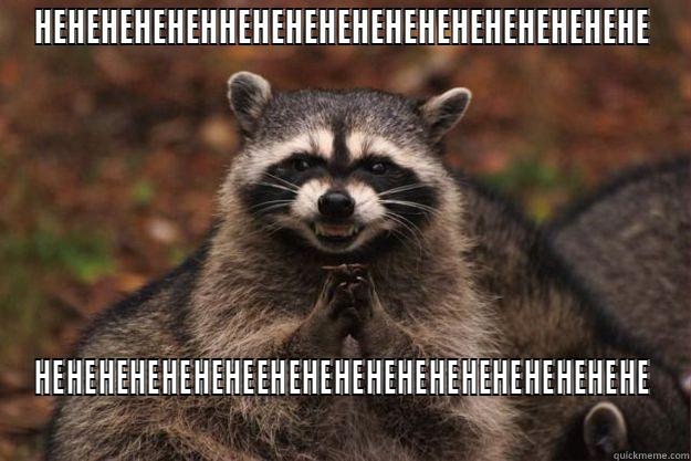 HEHEHEHEHEHHEHEHEHEHEHEHEHEHEHEHEHEHE HEHEHEHEHEHEHEEHEHEHEHEHEHEHEHEHEHEHEHE Evil Plotting Raccoon