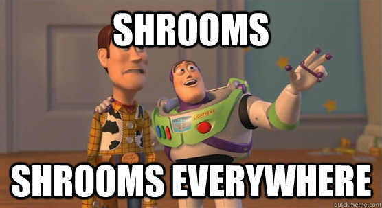 Shrooms Shrooms everywhere  Toy Story Everywhere