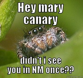 HEY MARY CANARY DIDN'T I SEE YOU IN NM ONCE?? Misunderstood Spider