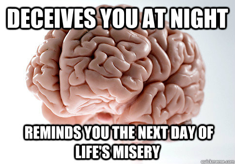 Deceives you at night  Reminds you the next day of life's misery  Scumbag Brain