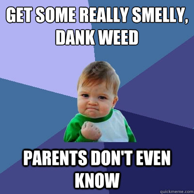 Get some really smelly, dank weed parents don't even know  Success Kid