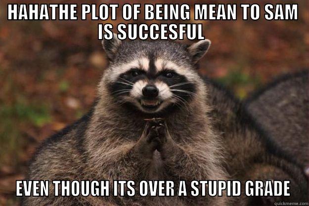 HAHATHE PLOT OF BEING MEAN TO SAM IS SUCCESFUL  EVEN THOUGH ITS OVER A STUPID GRADE Evil Plotting Raccoon