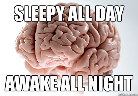 Sleepy all day Awake all night - Sleepy all day Awake all night  Scumbag Brain