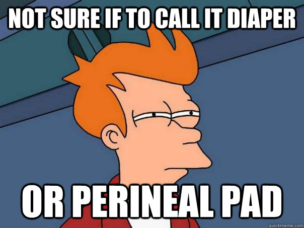 Not sure if to call it diaper Or perineal pad  Futurama Fry