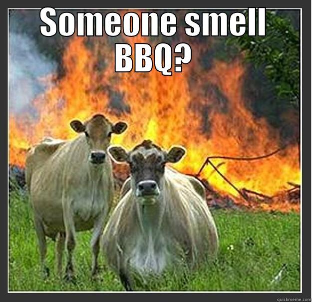 Fridays in the Plexus Cloud - SOMEONE SMELL BBQ?  Evil cows