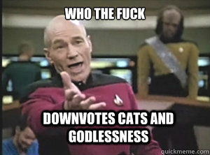 who the fuck downvotes cats and godlessness  Annoyed Picard