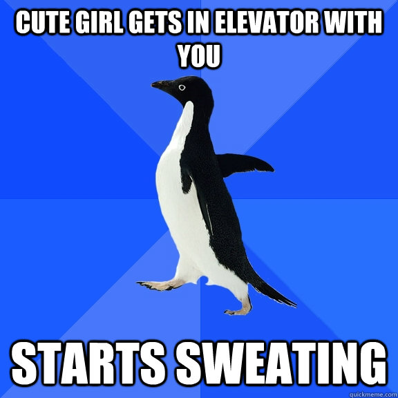 Cute girl gets in elevator with you Starts sweating  Socially Awkward Penguin