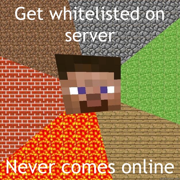 Get whitelisted on server  Never comes online  Minecraft