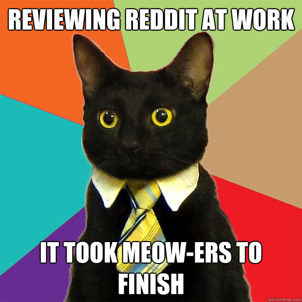 Reviewing Reddit At Work It Took Meow-ers To Finish  Business Cat