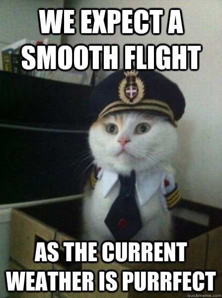 We expect a smooth flight As the current weather is purrfect - We expect a smooth flight As the current weather is purrfect  Captain kitteh