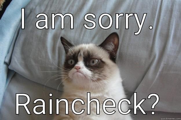 I AM SORRY. RAINCHECK? Grumpy Cat