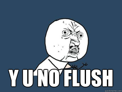  y u no flush -  y u no flush  Y U No