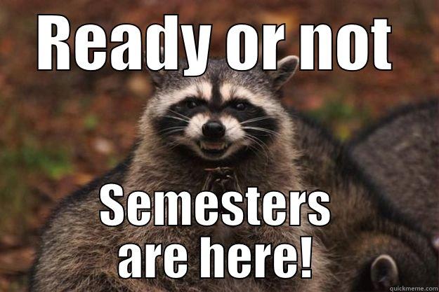 semesters  - READY OR NOT SEMESTERS ARE HERE! Evil Plotting Raccoon