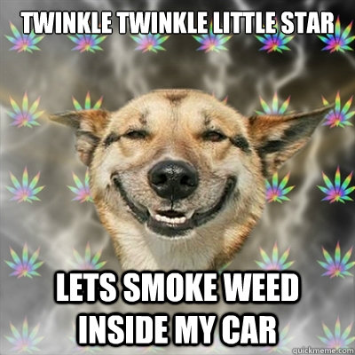 Twinkle twinkle little star Lets smoke weed inside my car  Stoner Dog