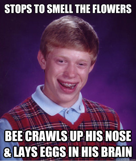 stops to smell the flowers bee crawls up his nose & lays eggs in his brain - stops to smell the flowers bee crawls up his nose & lays eggs in his brain  Bad Luck Brian