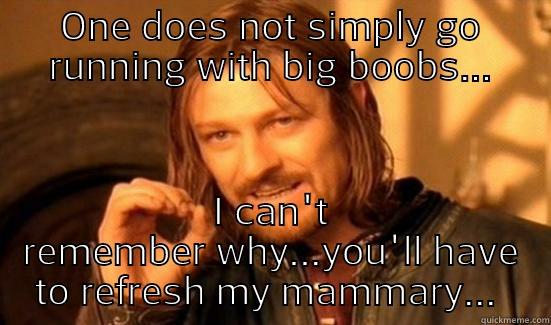 ONE DOES NOT SIMPLY GO RUNNING WITH BIG BOOBS... I CAN'T REMEMBER WHY...YOU'LL HAVE TO REFRESH MY MAMMARY...  Boromir