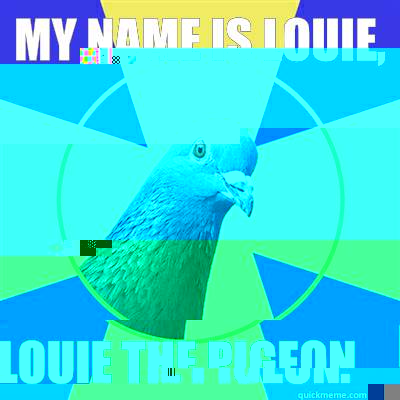 My name is louie,  Louie the pigeon.  Religion Pigeon