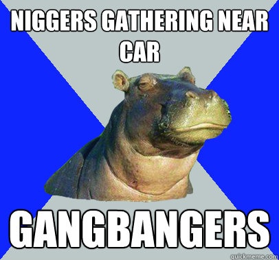 niggers gathering near car Gangbangers  Skeptical Hippo