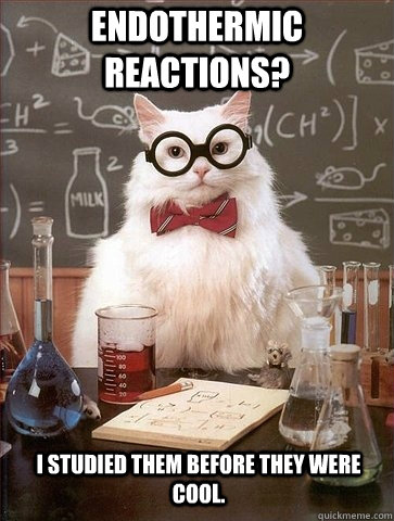 Endothermic Reactions? I studied them before they were cool. - Endothermic Reactions? I studied them before they were cool.  Chemistry Cat