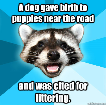 A dog gave birth to puppies near the road and was cited for littering. - A dog gave birth to puppies near the road and was cited for littering.  Lame Pun Coon