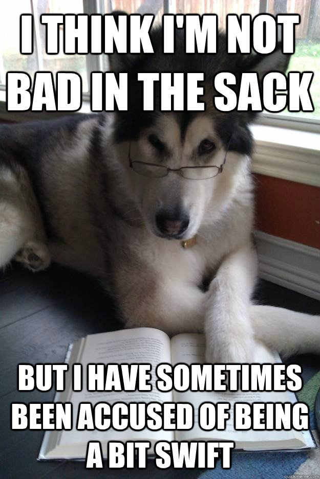 i think i'm not bad in the sack but I have sometimes been accused of being a bit swift  Condescending Literary Pun Dog