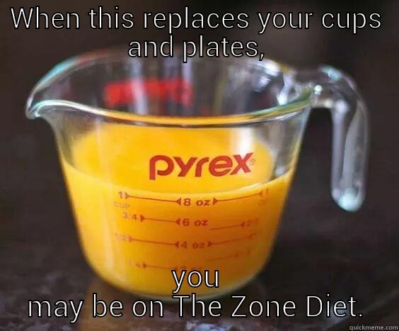 Zoning It - WHEN THIS REPLACES YOUR CUPS AND PLATES, YOU MAY BE ON THE ZONE DIET. Misc