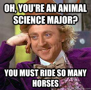 Oh, You'RE AN ANIMAL SCIENCE MAJOR? You must RIDE SO MANY HORSES  Condescending Wonka