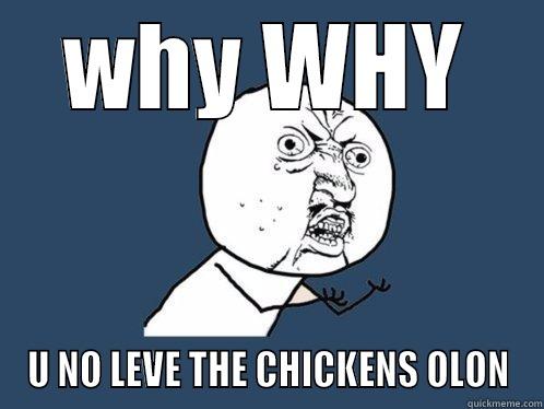 WHY WHY U NO LEVE THE CHICKENS OLON Y U No