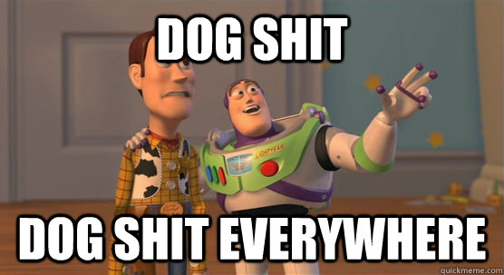 Dog SHit Dog shit everywhere  Toy Story Everywhere