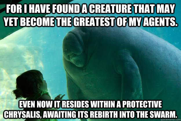 For I have found a creature that may yet become the greatest of my agents.  Even now it resides within a protective Chrysalis, awaiting its rebirth into the Swarm.  - For I have found a creature that may yet become the greatest of my agents.  Even now it resides within a protective Chrysalis, awaiting its rebirth into the Swarm.   Overlord Manatee