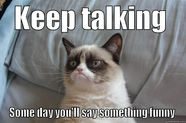 KEEP TALKING SOME DAY YOU'LL SAY SOMETHING FUNNY Grumpy Cat