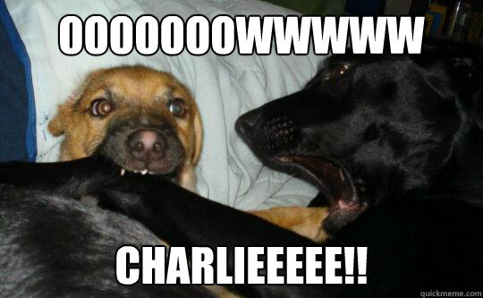 ooooooowwwww charlieeeee!!  Charlie Bit Me