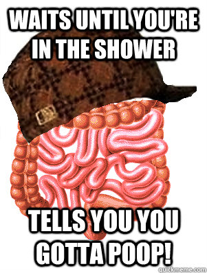 Waits until you're in the shower Tells you you gotta poop!  Scumbag Digestive System