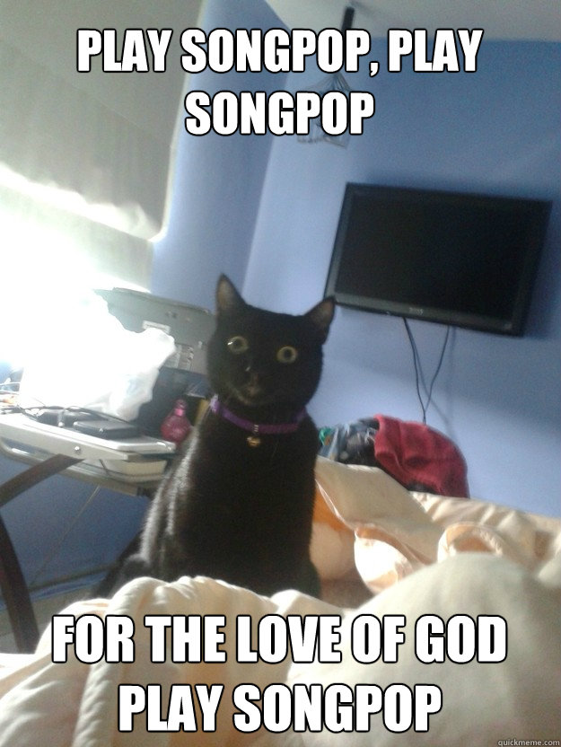 Play Songpop, play songpop For the love of god play songpop  overly attached cat