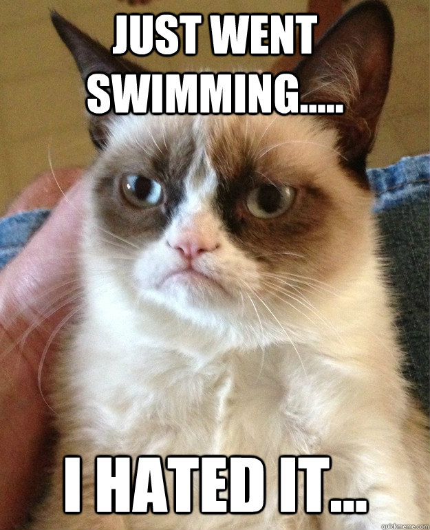 Just went swimming..... I hated it...  Grumpy Cat