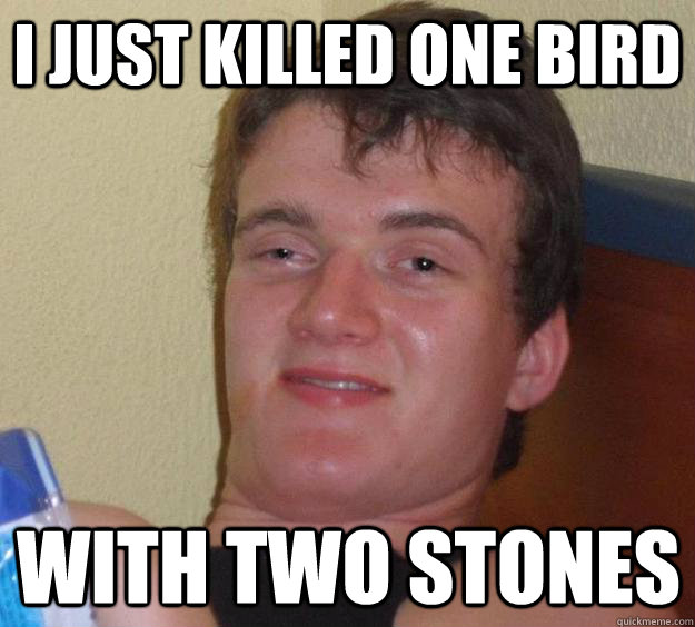 I just killed one bird with two stones - I just killed one bird with two stones  10 Guy