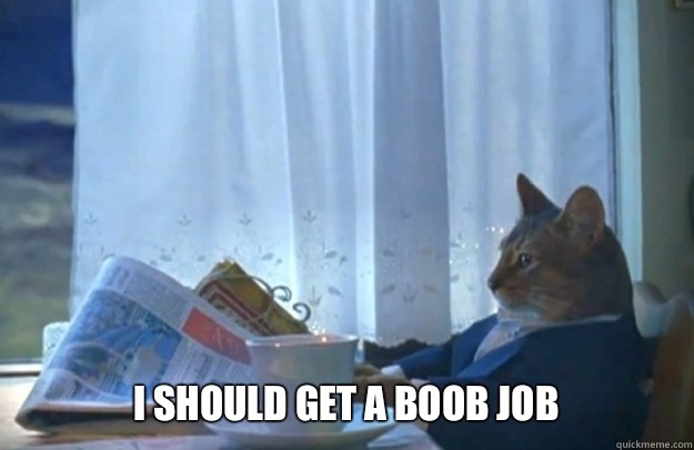 I SHOUld get a boob job  Sophisticated Cat