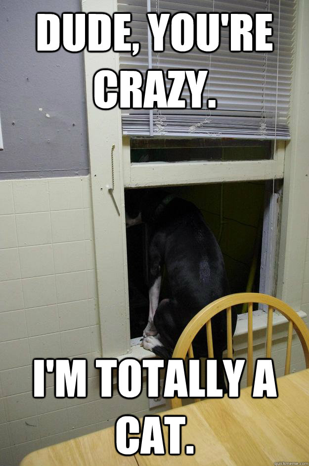 Dude, you're crazy.  I'm Totally a Cat.   A Confused Dog Says